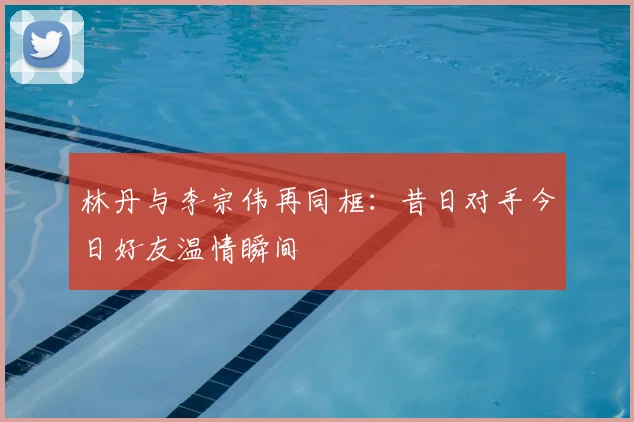 林丹与李宗伟再同框：昔日对手今日好友温情瞬间