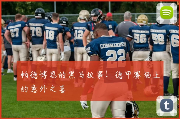 帕德博恩的黑马故事！德甲赛场上的意外之喜