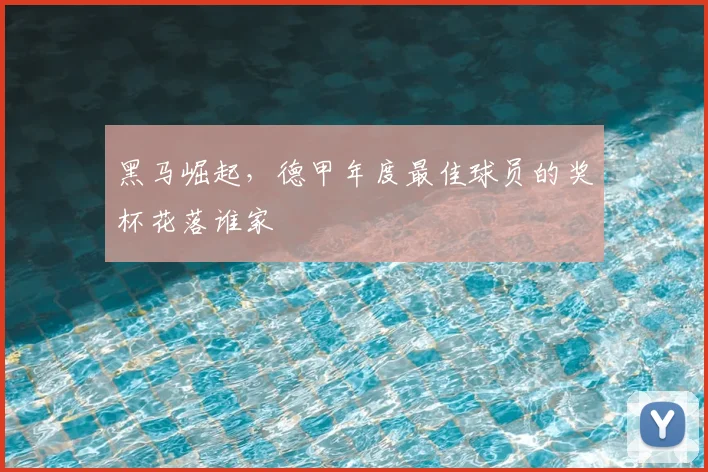 黑马崛起，德甲年度最佳球员的奖杯花落谁家