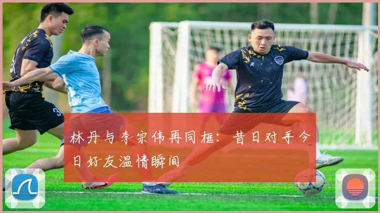 林丹与李宗伟再同框：昔日对手今日好友温情瞬间