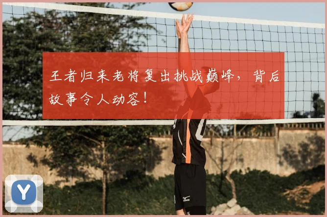 王者归来老将复出挑战巅峰，背后故事令人动容！