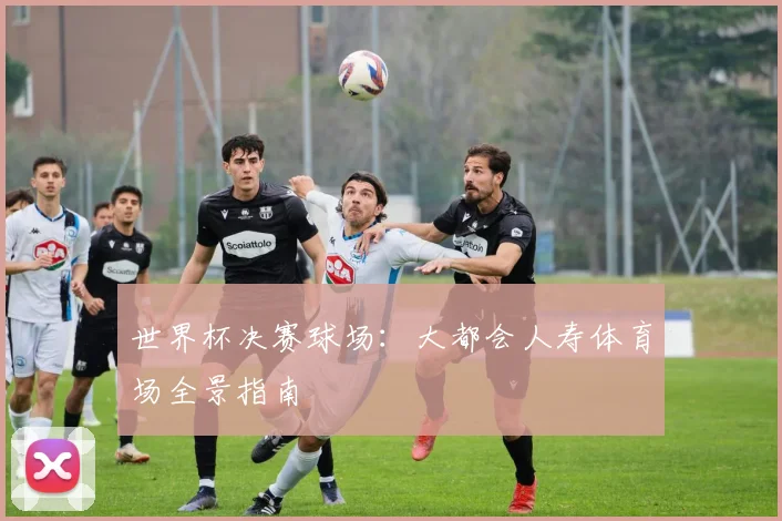 世界杯决赛球场：大都会人寿体育场全景指南