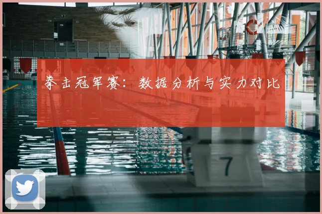 拳击冠军赛：数据分析与实力对比