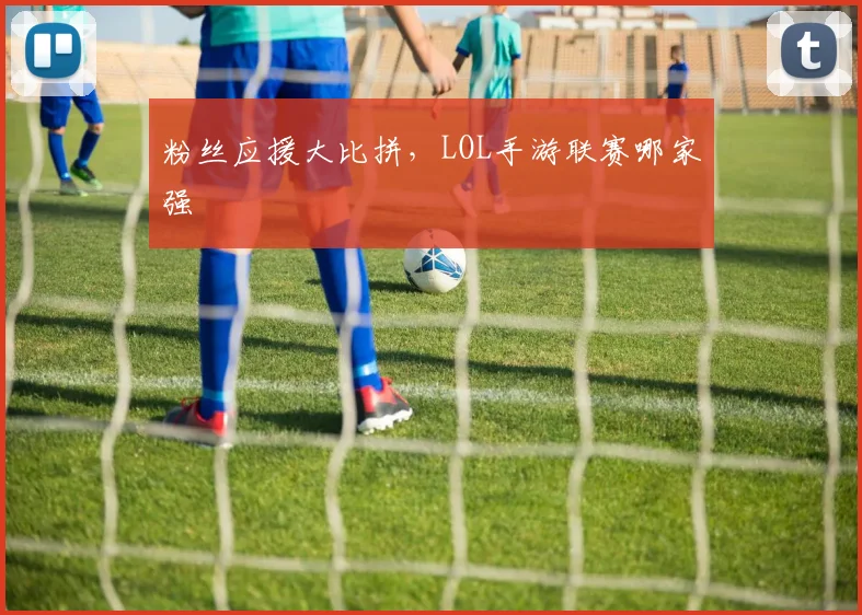 粉丝应援大比拼，LOL手游联赛哪家强